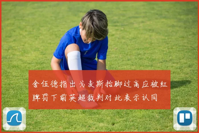 舍伍德指出戈麦斯抬脚过高应被红牌罚下前英超裁判对此表示认同