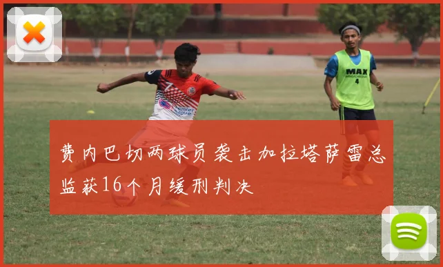 费内巴切两球员袭击加拉塔萨雷总监获16个月缓刑判决