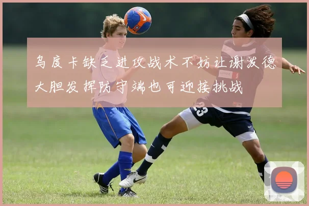 乌度卡缺乏进攻战术不妨让谢泼德大胆发挥防守端也可迎接挑战